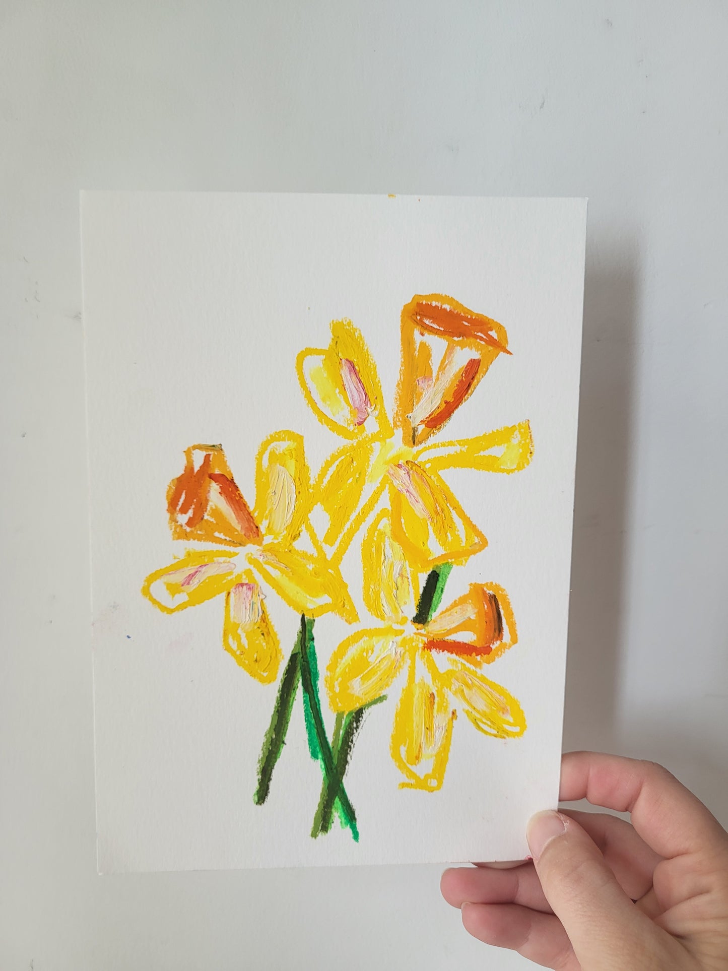 Narcisos