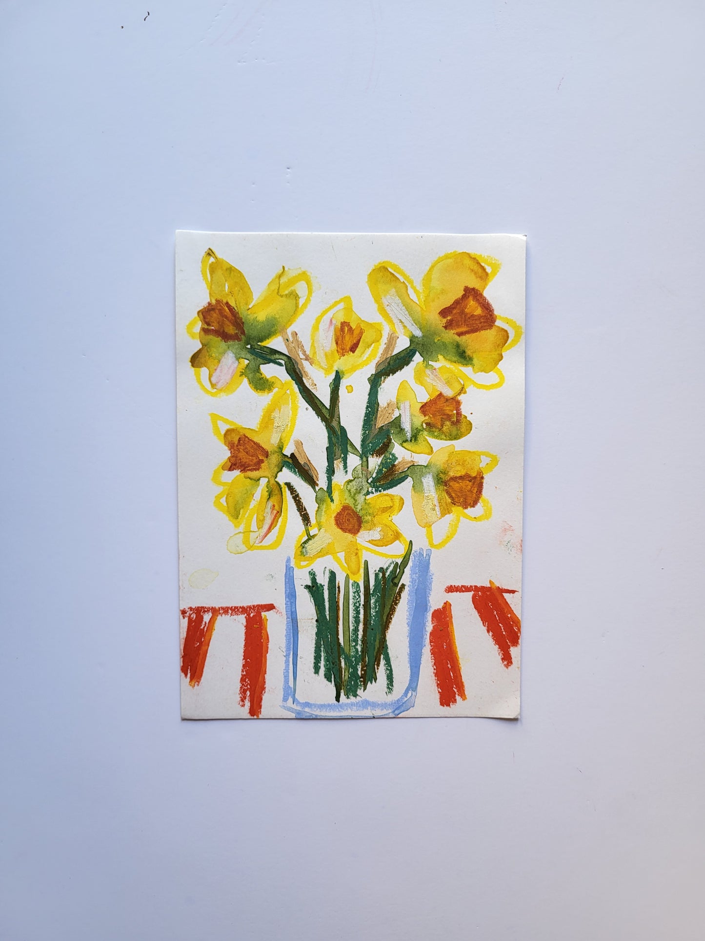 Narcisos com riscas encarnadas