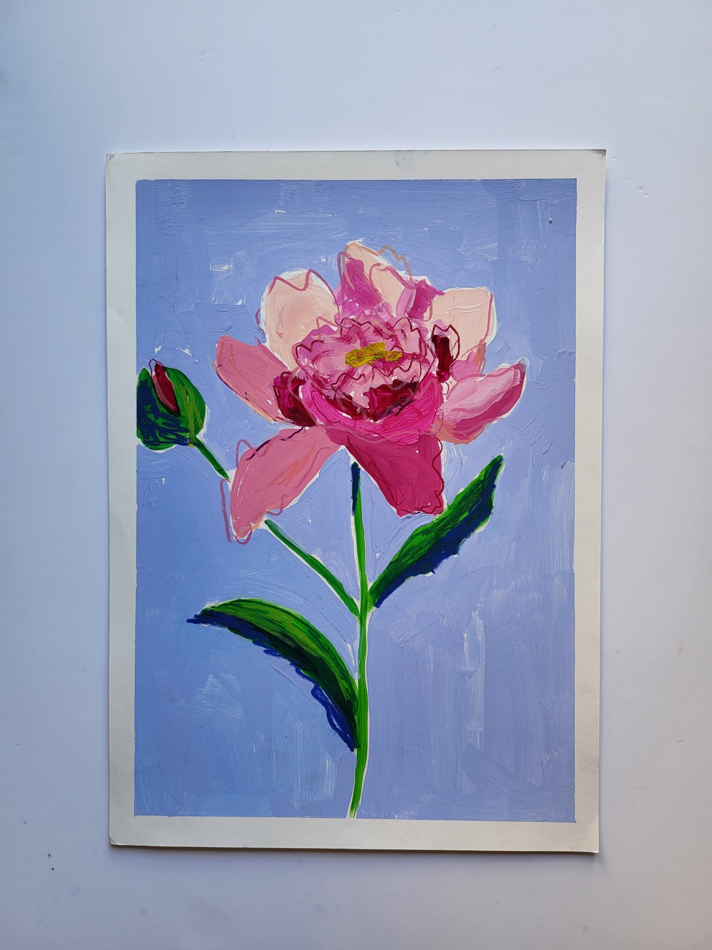 peonia 1