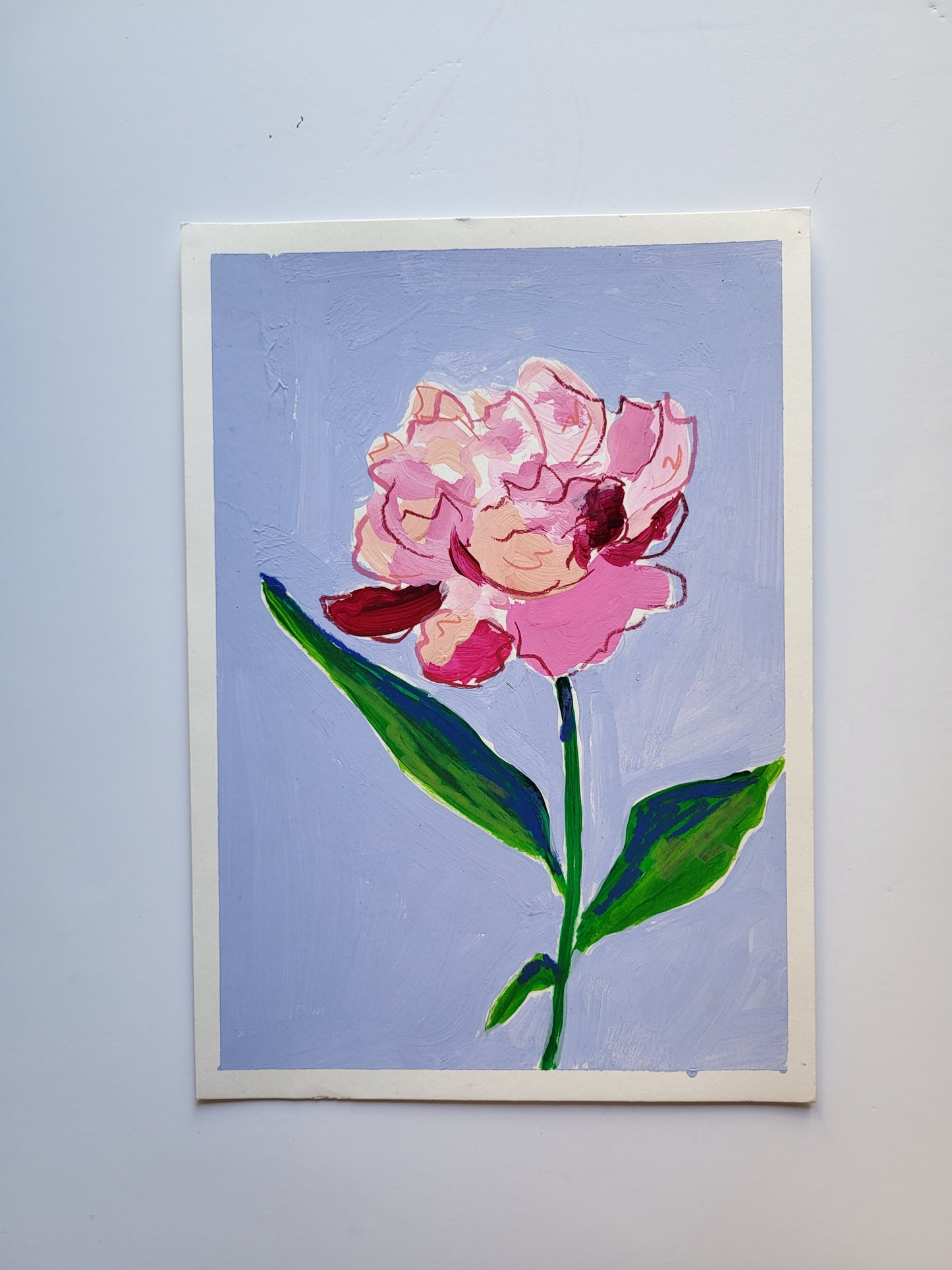 peonia 2