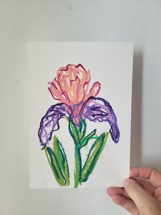 Flores Iris