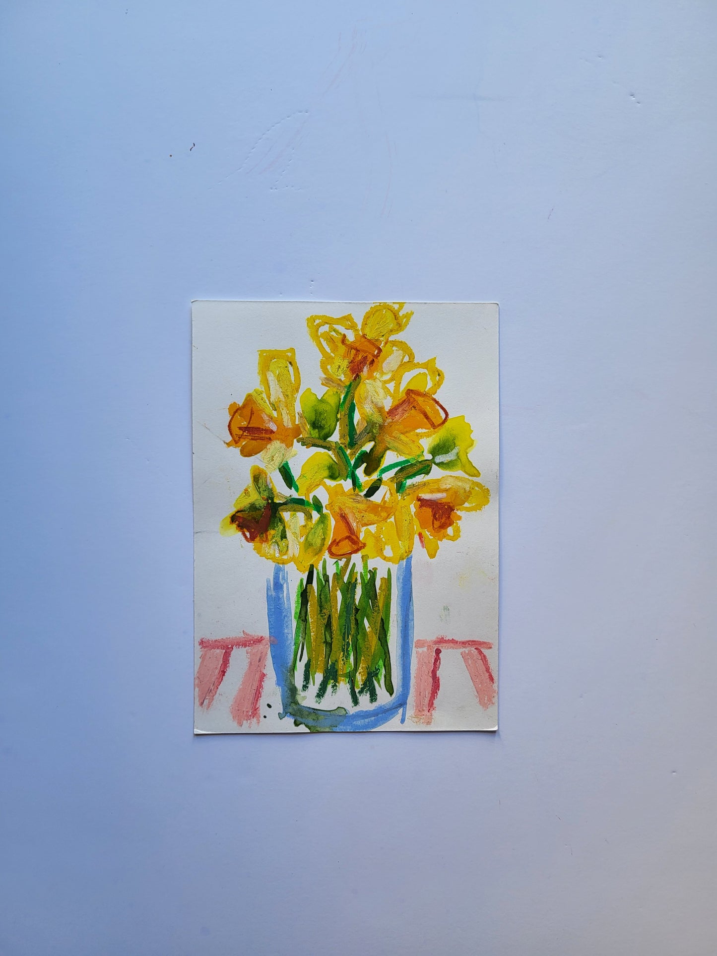 Narcisos com riscas cor de rosa