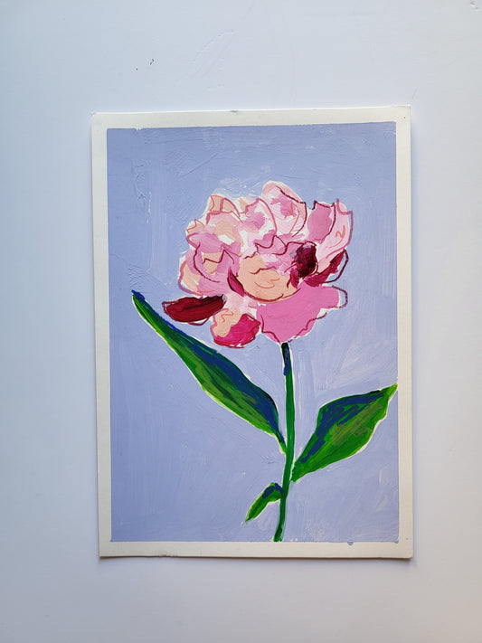 peonia 2